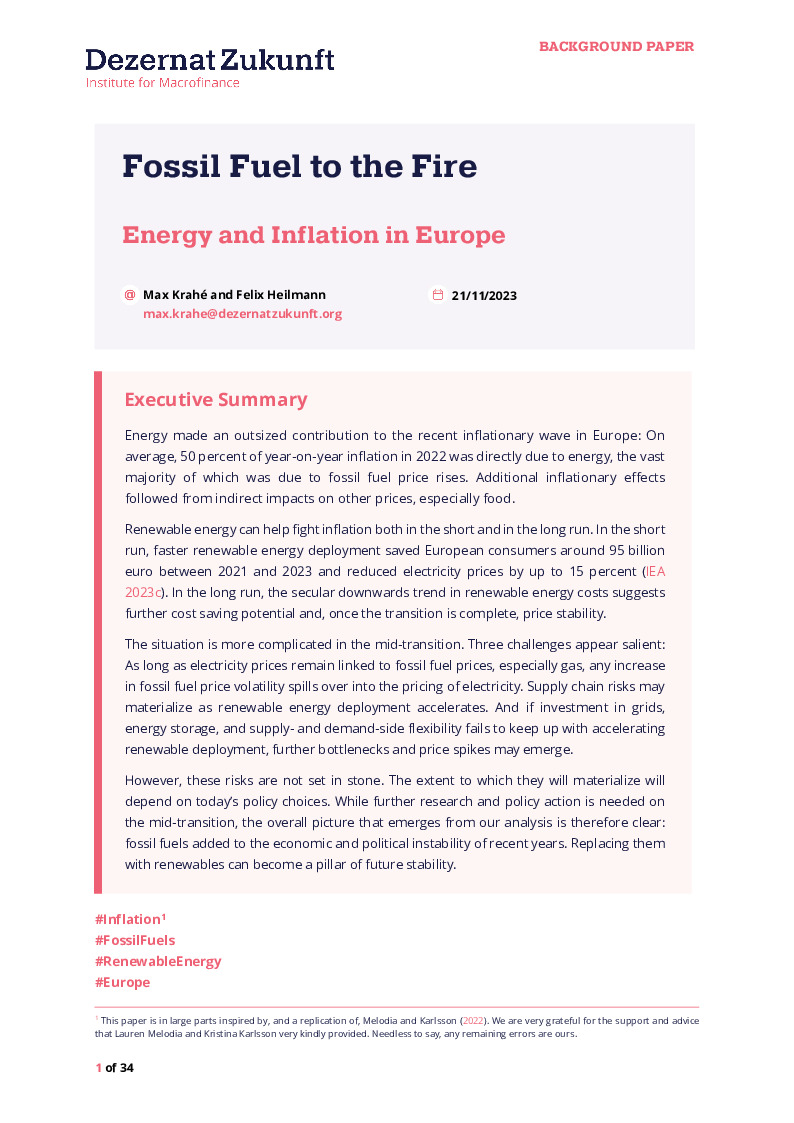 krahe-heilmann-2023-fossil-fuel-to-the-fire_v1.pdf