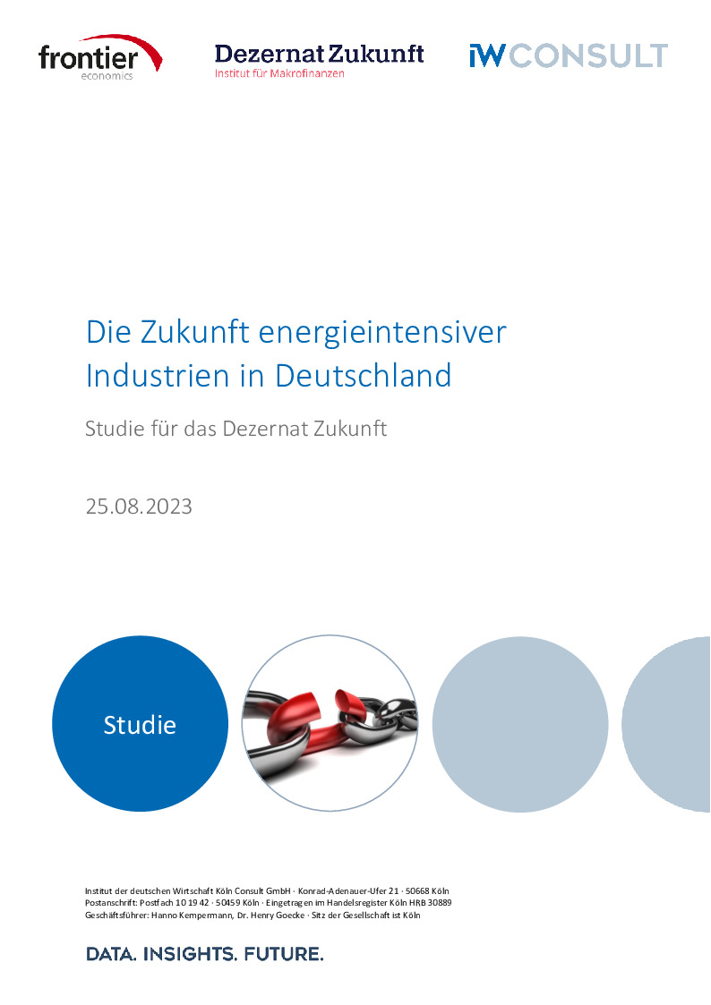 baehr-et-al.-2023-die-zukunft-energieintensiver-industrien-in-deutschland.pdf